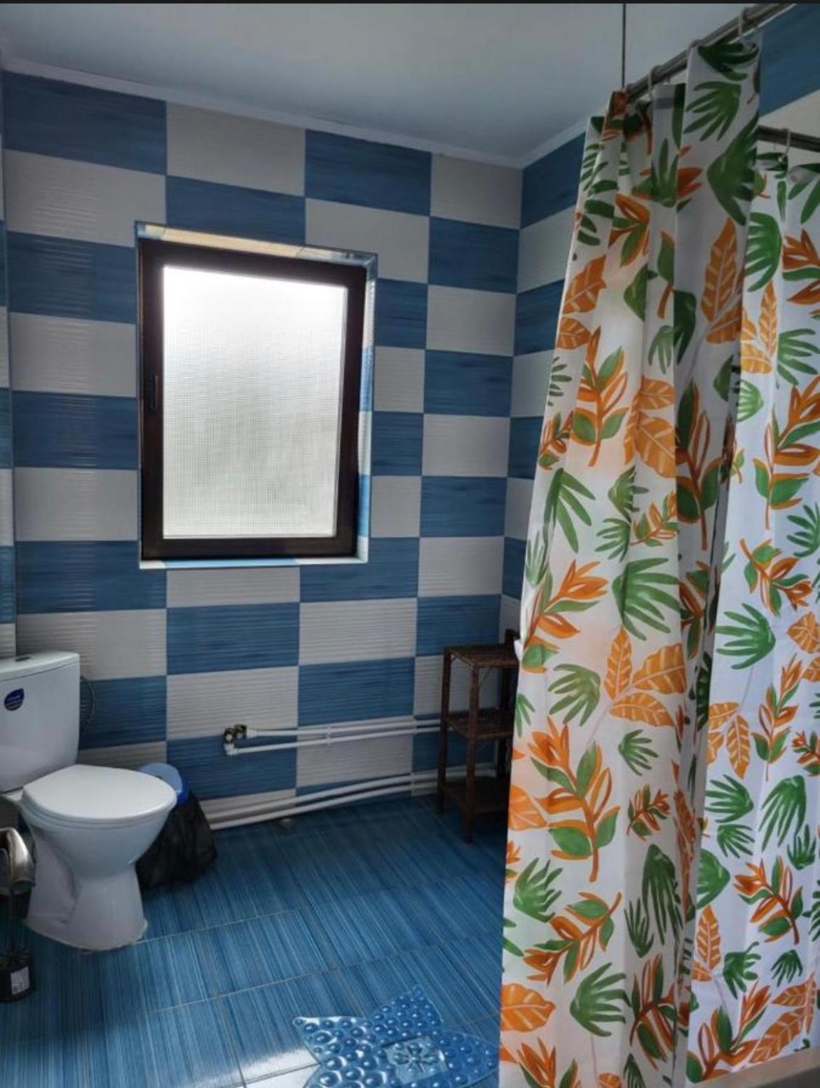 Casa Raraului Apartment Câmpulung Moldovenesc Екстериор снимка