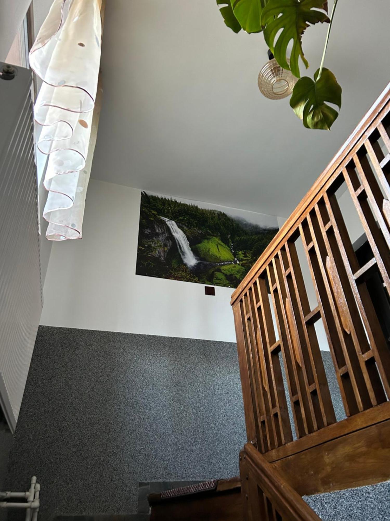 Casa Raraului Apartment Câmpulung Moldovenesc Екстериор снимка